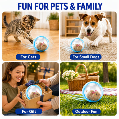 2026 New Self-Rolling Interactive Cat Electric Ball, Realistic Animal Automatic Moving Rolling Cat Ball 360° Rolling Spin Moving Cat Ball Fun Indoor Interactive Pet Ball for Cats Dogs Chasing, Without Battery